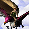 Wings